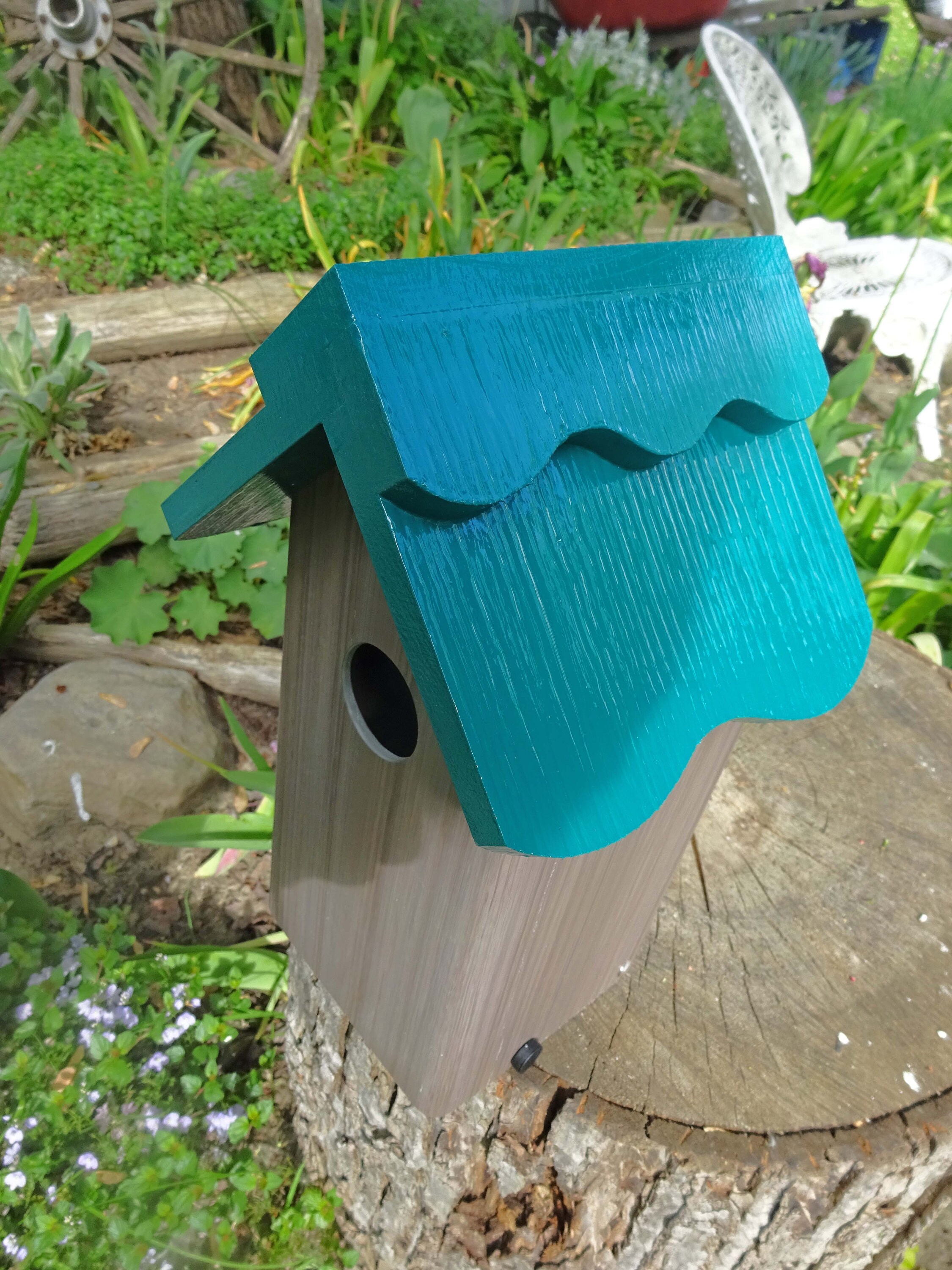 All PVC Weatherable Bluebird House Nesting Box Fully Etsy UK