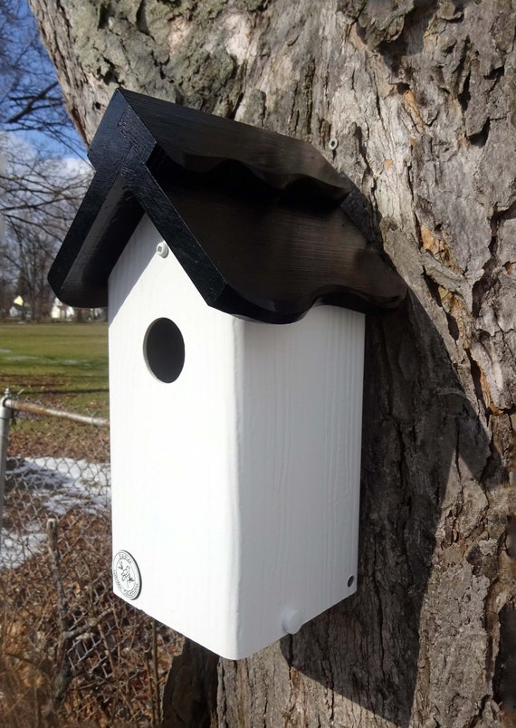 Bluebird House Pvc Cedar Bird House Fully Functional Etsy