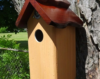 Weatherable Bluebird house, PVC Cedar Bird house fully functional virtually maintenance free post mount hanging birdhouse new design unique