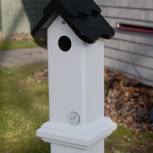 PVC post mount bird house for Nuthatch and small birds. All season all PVC, EZ clean, assembled, pvc post cap alternative Buffalo made image 8