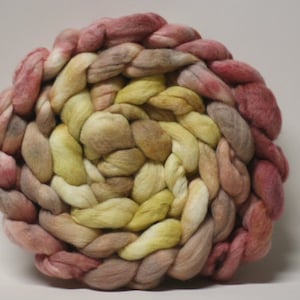 Roving Combed Top Polwarth Wool Silk Hand Dyed Handpainted PTS 16007x