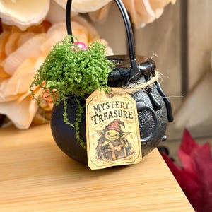 May include: A black cauldron with a handle and a textured surface, featuring a green plant and a beige tag tied with twine. The tag displays the text "MYSTERY TREASURE" above an illustration of a small creature holding a chest.