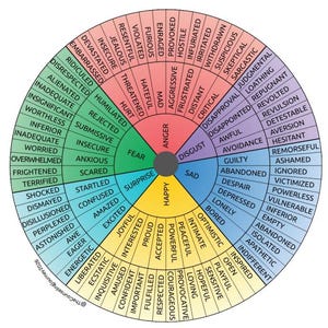 Op de afbeelding: Een cirkelvormig, kleurgecodeerd emotiewiel met een centrale kern verdeeld in zes hoofdcategorieën: Anger, Disgust, Sad, Happy, Surprise en Fear. Elk segment straalt naar buiten uit in subcategorieën met gevoelens in zwarte tekst.