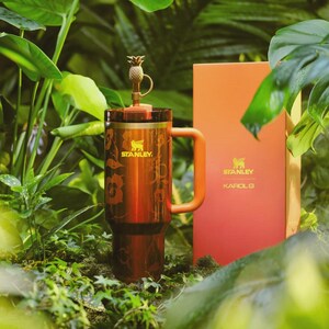 May include: A gradient orange and red Stanley tumbler with a handle, featuring a floral pattern and a gold pineapple-shaped straw topper. The tumbler displays the Stanley logo and is accompanied by a matching orange and red box labeled Stanley Karol G.