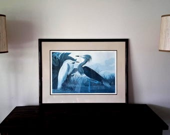 John James Audubon Purple Heron Plate 256 Abbeville Press 1985 Framed Huge Print