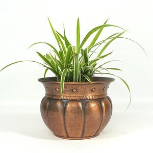 Op de afbeelding: Een metalen koperkleurige plantenpot met een afgeronde, gegroefde body en een uitlopende rand. Het bovenste gedeelte is voorzien van een decoratieve band met verhoogde ronde noppen en een touwachtige textuur. Een groen-witte graslelie groeit erin.