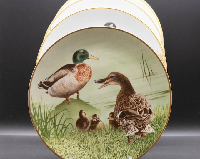 Vintage Danbury Mint Decorative Waterbird Duck Plates Lot of 4
