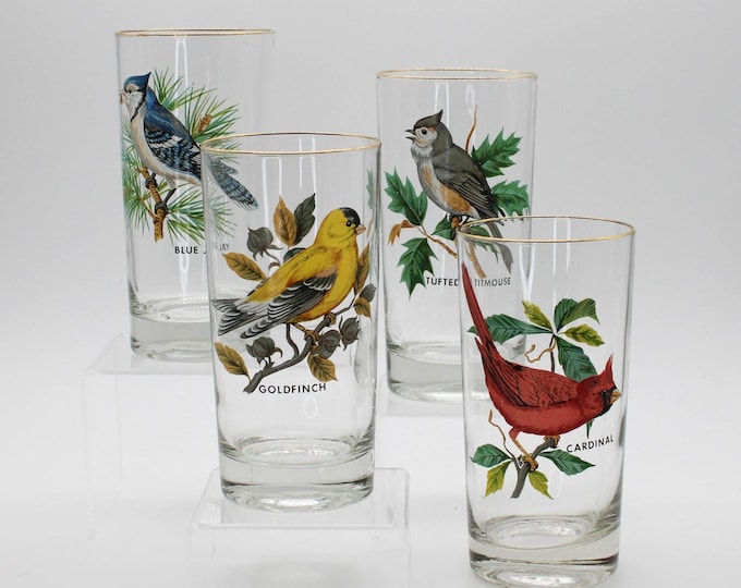 Vintage American Songbirds Highball Glasses Gold Rim Set of 4