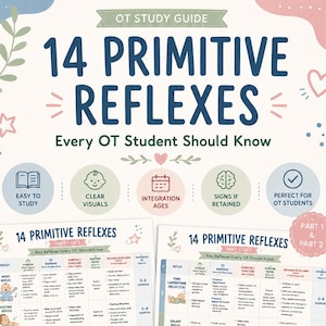 Op de afbeelding: Een kleurrijke educatieve poster getiteld "14 Primitieve Reflexen" voor ergotherapiestudenten. De poster bevat gedetailleerde informatie over reflexen, integratieleeftijden en tekenen van retentie.