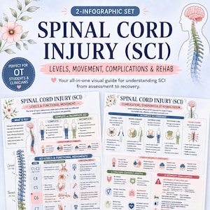 May include: A 2-infographic set on spinal cord injury (SCI) with levels, movement, complications, and rehab information. Includes diagrams and text for OT students and clinicians. Features a pink and white floral design.