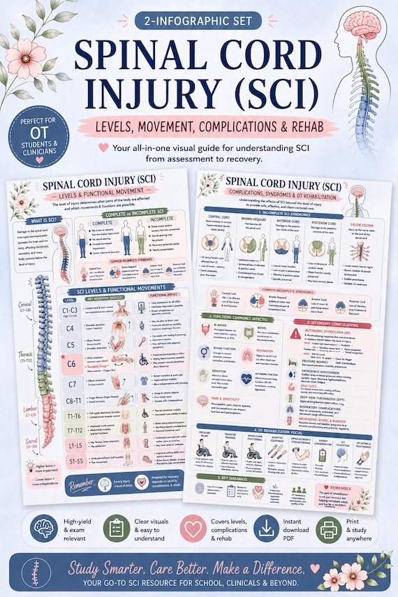 Spinal Cord Injury Infographics for OT Students & Neuro Rehab | NBCOT Study Guide | Complete vs Incomplete SCI