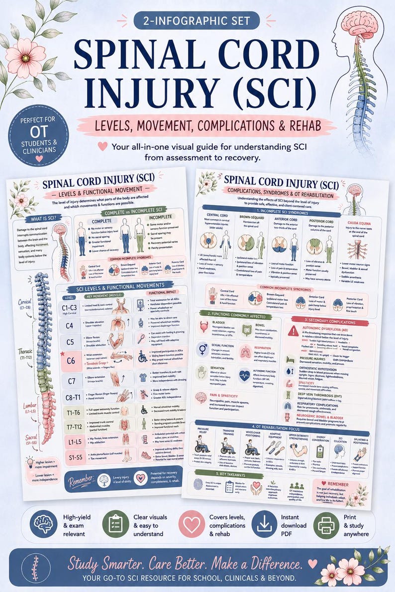 May include: A 2-infographic set on spinal cord injury (SCI) with levels, movement, complications, and rehab information. Includes diagrams and text for OT students and clinicians. Features a pink and white floral design.