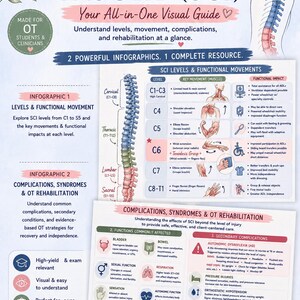 May include: An infographic about spinal cord injury (SCI) with detailed information on levels, movements, complications, and rehabilitation. Includes diagrams, charts, and text, perfect for students and clinicians.