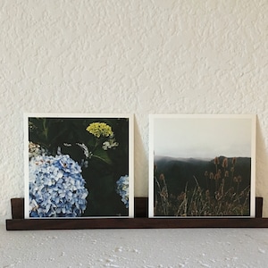 Peut inclure: Deux photographies encadr&eacute;es sur une &eacute;tag&egrave;re en bois fonc&eacute;. La photo de gauche montre un gros plan d'hortensias bleus et blancs avec une fleur jaune en arri&egrave;re-plan. La photo de droite montre un paysage brumeux avec de hautes herbes et des plantes brunes.