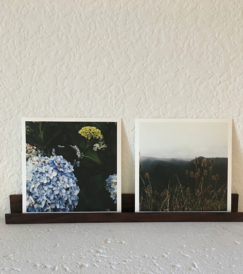 Peut inclure: Deux photographies encadr&eacute;es sur une &eacute;tag&egrave;re en bois fonc&eacute;. La photo de gauche montre un gros plan d'hortensias bleus et blancs avec une fleur jaune en arri&egrave;re-plan. La photo de droite montre un paysage brumeux avec de hautes herbes et des plantes brunes.