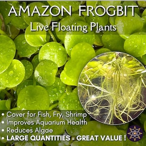 May include: Close-up of Amazon Frogbit, live floating plants. The image shows bright green, round leaves with water droplets. A circular inset reveals the plant's root system. Text highlights benefits: cover for fish, improves aquarium health, reduces algae, and large quantities.