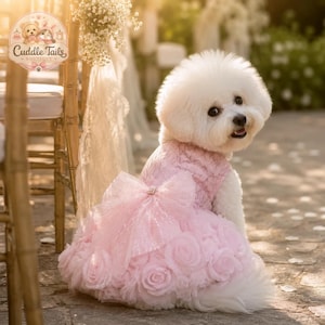 Può includere: Un cane bianco e soffice indossa un vestito rosa con un grande fiocco sulla schiena. L'abito presenta un motivo a rosa sulla gonna e un corpetto scintillante. Il cane è seduto su una superficie di pietra, con uno sfondo sfocato di un matrimonio.