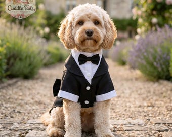 Dog Tuxedo Suit with Bow Tie, Formal Dog Wedding Costume, Gentleman Dog Shirt, Small Medium Dog Party Outfit, Boy Dog Cosplay, Black Red