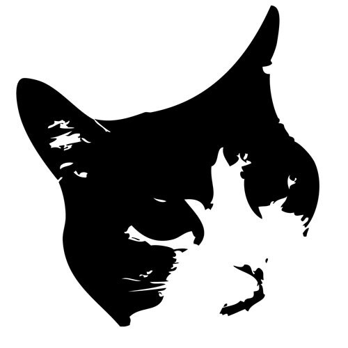 Etsy profile picture for @hashi