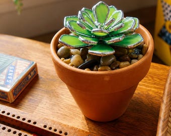 Vitraux et pots décoratifs verts succulents 3D pour la maison