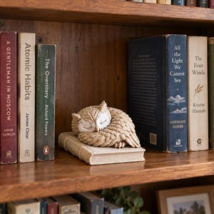 May include: A beige, sculpted owl figurine with closed eyes and detailed feather textures, resting on top of a small, rectangular book. The owl is positioned on a wooden shelf between several hardcover books with visible titles and author names.