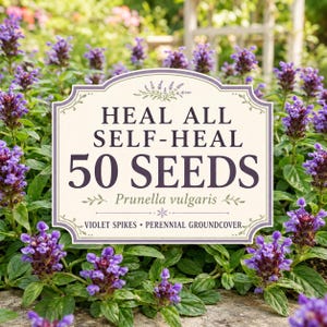 Op de afbeelding: Een rechthoekig label met decoratieve randen met de tekst HEAL ALL SELF-HEAL 50 SEEDS Prunella vulgaris VIOLET SPIKES PERENNIAL GROUNDCOVER, geplaatst over een achtergrond van groen blad en paarse bloemaren van de Prunella-plant.