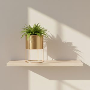 Può includere: Una felce dal fogliame verde brillante piantata in un vaso cilindrico in metallo dorato. Il vaso è sostenuto da un sottile supporto circolare in metallo dorato con quattro gambe verticali, che crea un'esposizione elegante e rialzata.
