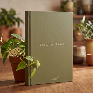 Pu&ograve; includere: Un libro con copertina rigida color verde salvia con il testo "quietly, then all at once" stampato in oro sulla copertina. La parola "AUREL" &egrave; stampata in piccole lettere dorate vicino al centro in basso, con una piccola icona di un'ape.