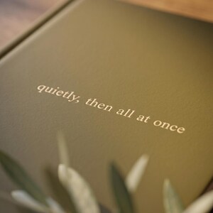 Pu&ograve; includere: Un libro con copertina rigida color verde oliva opaco che presenta il testo "quietly, then all at once" impresso in un colore oro chiaro sulla parte anteriore. Il libro &egrave; posizionato ad angolo con una piccola parte di foglie verdi visibile in basso.