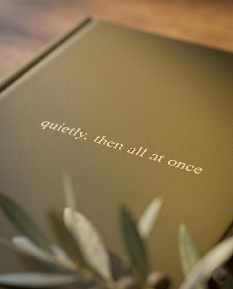 Pu&ograve; includere: Un libro con copertina rigida color verde oliva opaco che presenta il testo "quietly, then all at once" impresso in un colore oro chiaro sulla parte anteriore. Il libro &egrave; posizionato ad angolo con una piccola parte di foglie verdi visibile in basso.