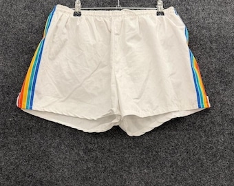 Vintage Rainbow Stripe Shorts Men's 30 White Running Lounge Shorts 80s