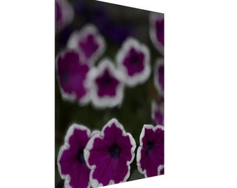 Purple Floral Canvas Wall Art