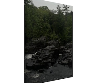 Moody Pine Forest River Canvas Print - Wilderness Landscape Wall Art