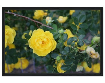 Moody Yellow Roses Floral Wall Print - Botanical Framed Canvas