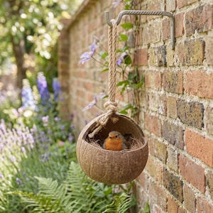 May include: A round, brown coconut shell bird house with a natural fibre rope hanger suspended from a metal hook. Inside the hollowed shell, a small robin with a bright orange breast and grey-brown feathers sits nestled in a bed of dry straw.