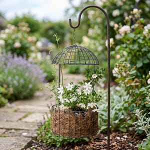 May include: A dark metal hanging planter with a dome-shaped wire cage top and a cylindrical base lined with brown coconut coir fibre. The planter is suspended from a tall, curved metal shepherd's hook and contains a small white flowering plant.