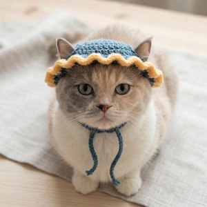 May include: A cat wearing a blue and yellow crocheted hat and a matching blue collar with ties. The cat has a mix of white, tan, and grey fur and is sitting on a light grey surface.