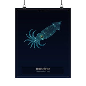 May include: A dark navy poster featuring a teal constellation-style illustration of a firefly squid. The text reads THE LUMINOUS DEEP at the top and FIREFLY SQUID Watasenia scintillans -350 m at the bottom. The squid has glowing dots and lines.