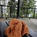 Lesya