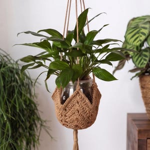 May include: A hanging plant in a clear glass pot, suspended by natural fibre rope. The pot is encased in a brown, crocheted plant holder with a decorative tassel. The plant has large, green leaves.