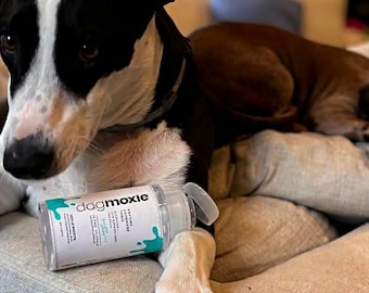 Anytime Anywhere Tonic Dog Paw Cleanser