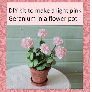Puede incluir: Un kit de bricolaje para hacer un geranio rosa claro en una maceta. El arreglo floral en miniatura presenta flores de color rosa claro, hojas verdes y una maceta marrón. El texto se muestra sobre un fondo blanco.