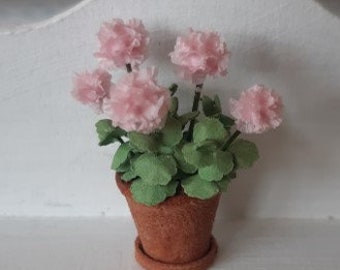 Light pink Geranium