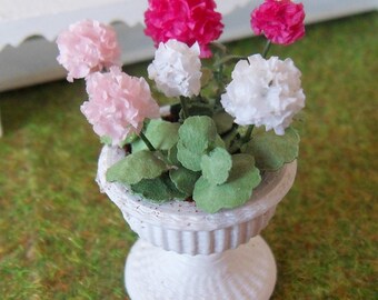 Geraniums in a flower urn