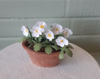 White pansies in a oval flower pot 1:12