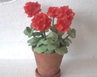 Red Geranium in terracotta pot