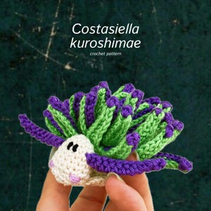Könnte beinhalten: Eine gehäkelte Costasiella kuroshimae Meeresschnecke mit weißem Gesicht, rosa Wangen und schwarzen Augen. Der Körper hat leuchtend grüne und violette, texturierte Anhängsel, die nach außen ragen. Der Text Costasiella kuroshimae crochet pattern ist sichtbar.