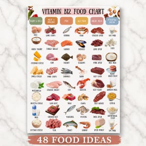 Może przedstawiać: Plakat Vitamin B12 Food Chart przedstawiający 48 produktów spożywczych podzielonych na kolumny: nabiał i jaja, mięso i drób, ryby, owoce morza, podroby oraz żywność wzbogacona. Każdy produkt jest podpisany czarną czcionką na białym tle.