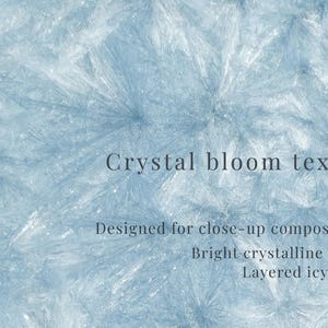 Op de afbeelding: Een lichtblauwe, getextureerde achtergrond met een kristallijn patroon. De afbeelding bevat de tekst "Crystal bloom texture", "Designed for close-up compositions", "Bright crystalline details" en "Layered icy depth".