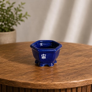 A stunning blue hexagonal pot, measuring 9 cm diameter and 6 cm in height.
